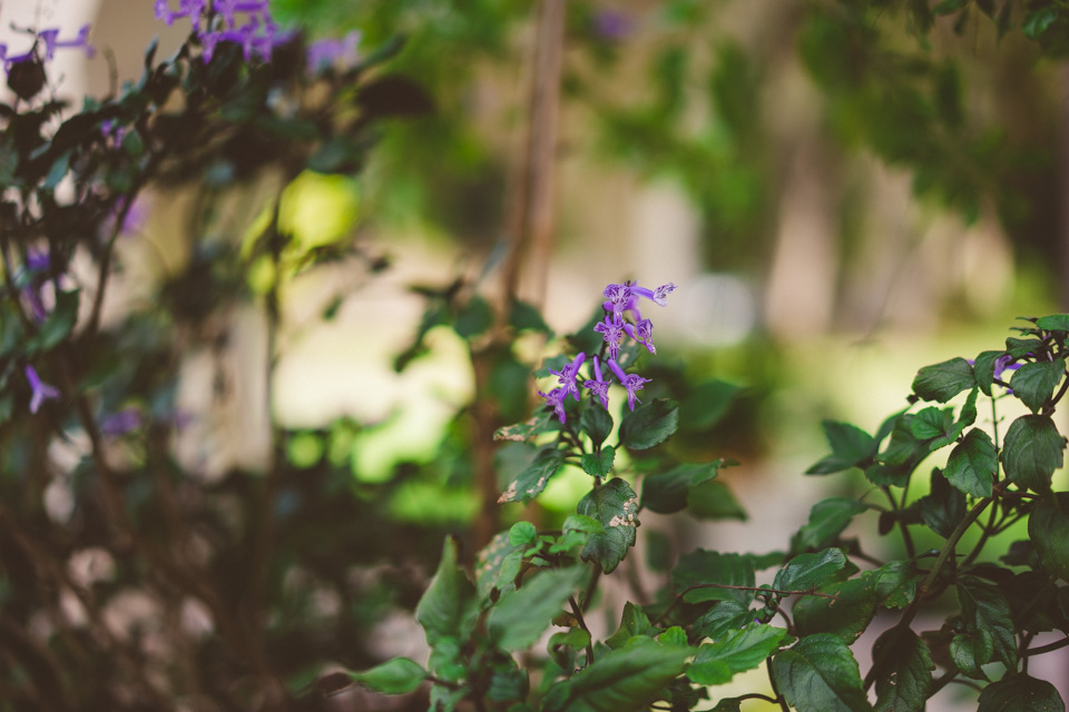 Marywood Center Wedding